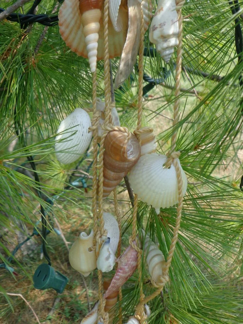 Sea Shells/Rope Wind Chime Nautical Coastal Authentic Various Shells 32